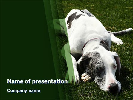 Deen PowerPoint Template, Gratis PowerPoint-sjabloon, 06622, Dieren en Huisdieren — PoweredTemplate.com