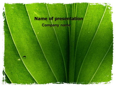 Streaks Of Green Leaf PowerPoint Template, Free PowerPoint Template, 06686, Nature & Environment — PoweredTemplate.com