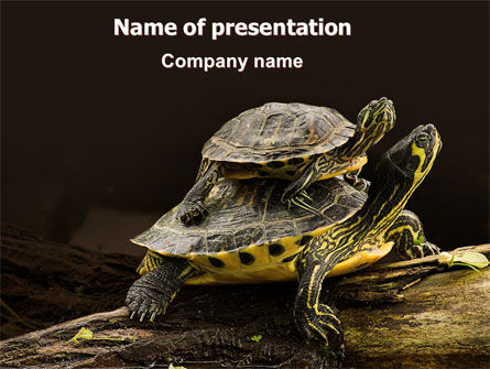Two Turtles PowerPoint Template, Free PowerPoint Template, 06741, Animals and Pets — PoweredTemplate.com
