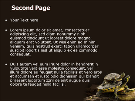 Two Turtles PowerPoint Template, Slide 2, 06741, Animals and Pets — PoweredTemplate.com