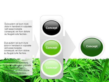 Cannabis PowerPoint Template, Backgrounds | 07243 | PoweredTemplate.com