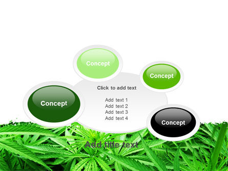 Cannabis PowerPoint Template, Backgrounds | 07243 | PoweredTemplate.com