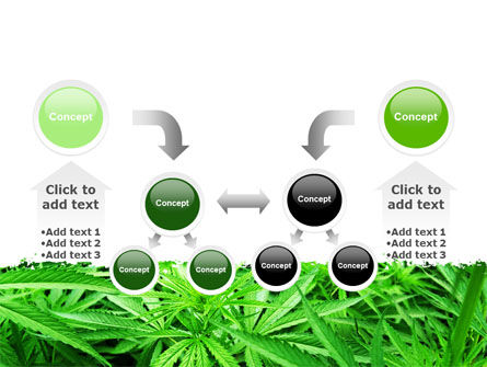 Cannabis PowerPoint Template, Backgrounds | 07243 | PoweredTemplate.com