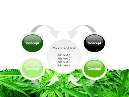 Cannabis PowerPoint Template, Backgrounds | 07243 | PoweredTemplate.com