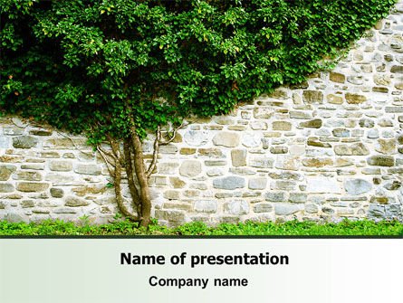 树在墙上PowerPoint模板, 免费 PowerPoint模板, 07468, 自然与环境 — PoweredTemplate.com