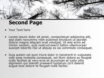冬天的树木PowerPoint模板, 幻灯片 2, 07514, 自然与环境 — PoweredTemplate.com