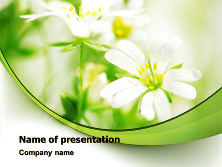 Spring Bloom PowerPoint Template, Free PowerPoint Template, 07764, Nature & Environment — PoweredTemplate.com