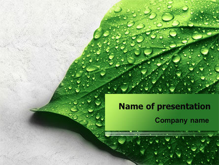 Wet Leaf PowerPoint Template, PowerPoint Template, 07892, Nature & Environment — PoweredTemplate.com