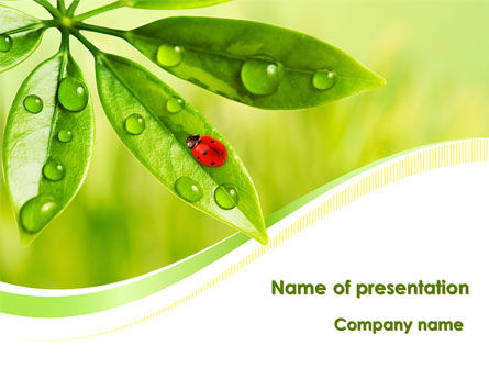 Ladybird on Leaf PowerPoint Template, Free PowerPoint Template, 08195, Nature & Environment — PoweredTemplate.com