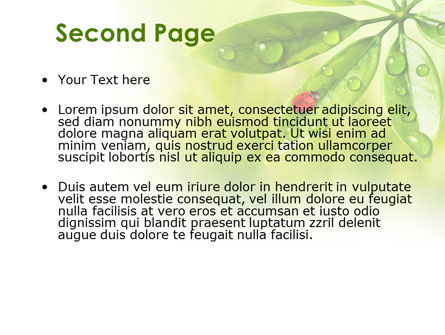 Ladybird on Leaf PowerPoint Template, Slide 2, 08195, Nature & Environment — PoweredTemplate.com
