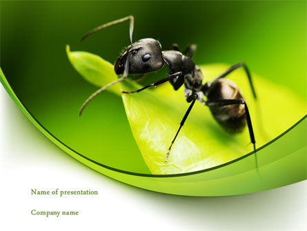 Ant PowerPoint Template, PowerPoint Template, 08356, Education & Training — PoweredTemplate.com