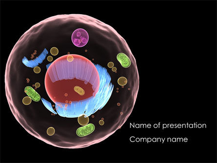 Cell Structure PowerPoint Template, 08430, Medical — PoweredTemplate.com