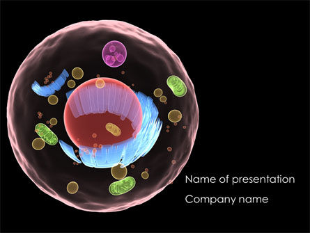 Modèle PowerPoint de structure cellulaire, Modele PowerPoint, 08430, Médical — PoweredTemplate.com