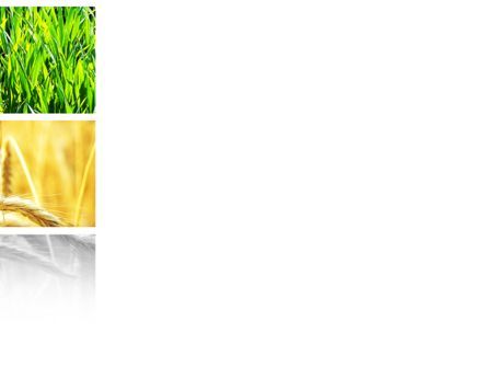 WhePowerPoint模板, 幻灯片 3, 08821, 农业 — PoweredTemplate.com