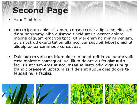 Wheats PowerPoint Template, Slide 2, 08821, Agriculture — PoweredTemplate.com