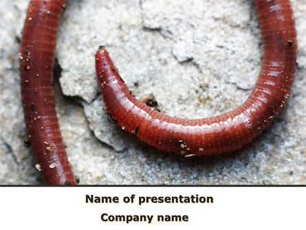 Earthworm PowerPoint Template, Free PowerPoint Template, 09009, Agriculture — PoweredTemplate.com