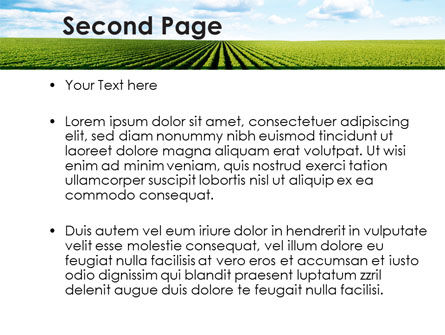 Cultivated Field PowerPoint Template, Slide 2, 09216, Agriculture — PoweredTemplate.com
