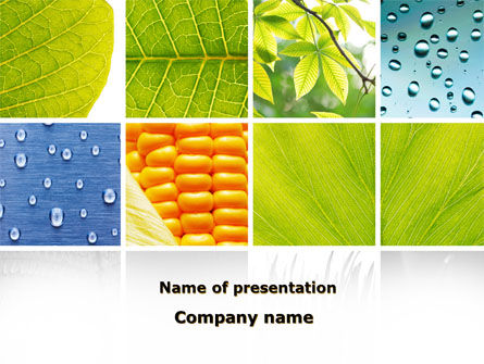 Wet Green Leaf PowerPoint Template, 09414, Agriculture — PoweredTemplate.com