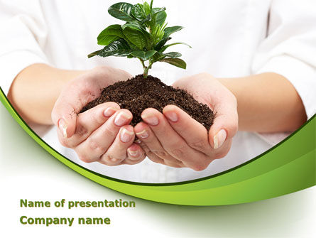 Burgeon PowerPoint Template, Free PowerPoint Template, 09641, Nature & Environment — PoweredTemplate.com