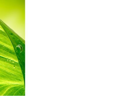 Grünes blatt mit tau PowerPoint Vorlage, Folie 3, 09659, Natur & Umwelt — PoweredTemplate.com