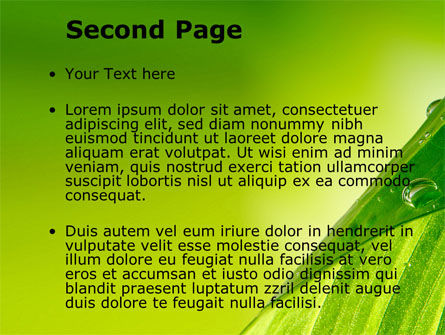 Grünes blatt mit tau PowerPoint Vorlage, Folie 2, 09659, Natur & Umwelt — PoweredTemplate.com