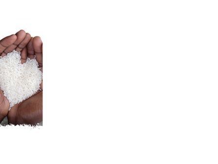 Plantilla de PowerPoint - arroz corazón en palmas, Diapositiva 3, 09724, Food & Beverage — PoweredTemplate.com