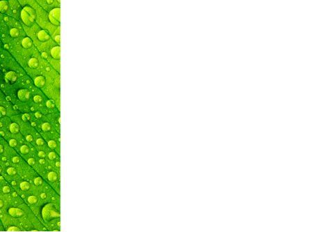 Modelo do PowerPoint - folheto verde em gotas de orvalho, Deslizar 3, 09733, Natureza e Ambiente — PoweredTemplate.com