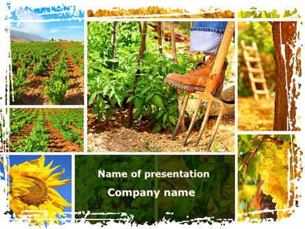 Boerenarbeid PowerPoint Template, PowerPoint-sjabloon, 09763, Landbouw — PoweredTemplate.com