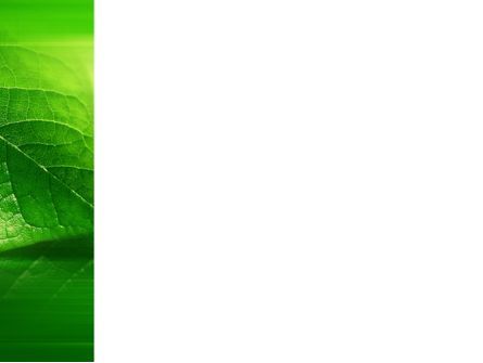 파워포인트 템플릿 - 반짝이는 녹색 잎, 슬라이드 3, 09768, 자연 및 환경 — PoweredTemplate.com
