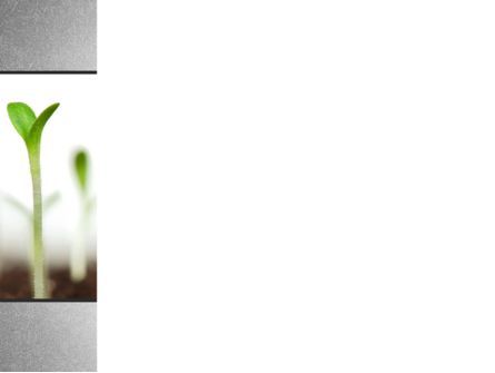 ガーデンベッド - PowerPointテンプレート, スライド 3, 09829, 自然＆環境 — PoweredTemplate.com