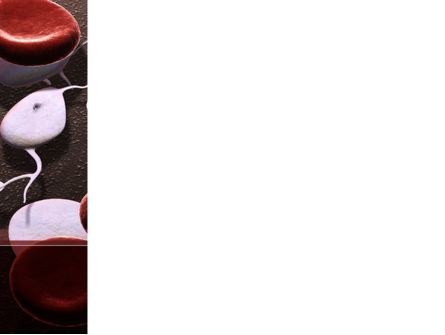 파워포인트 템플릿 - 빨간색과 흰색의 혈액 세포, 슬라이드 3, 09912, 의학 — PoweredTemplate.com