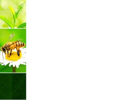 Modelo do PowerPoint - abelha em uma colagem da flor, Deslizar 3, 09915, Agricultura — PoweredTemplate.com