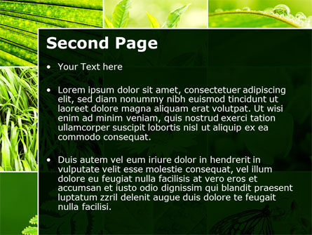 Plantilla de PowerPoint - abeja en un collage de la flor, Diapositiva 2, 09915, Agricultura — PoweredTemplate.com