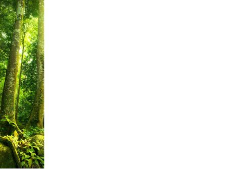 森の木々 - PowerPointテンプレート, スライド 3, 09985, 自然＆環境 — PoweredTemplate.com