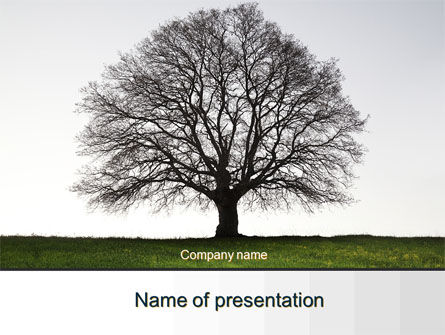 Tree Without Leaves PowerPoint Template, 10133, Nature & Environment — PoweredTemplate.com