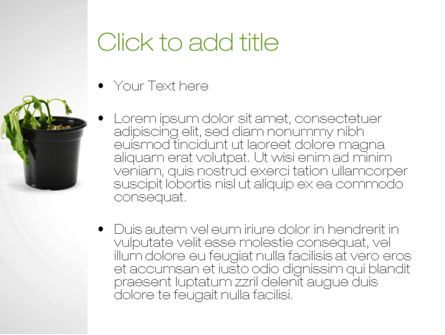 Withered Plant PowerPoint Template, Slide 3, 10393, Agriculture — PoweredTemplate.com