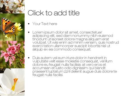 Modello PowerPoint - Varietà di fiori, Slide 3, 10597, Carriere/Industria — PoweredTemplate.com