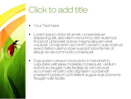 Ladybug on Grass PowerPoint Template, Slide 3, 10670, Nature & Environment — PoweredTemplate.com