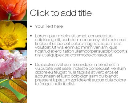 Blumen collage PowerPoint Vorlage, Folie 3, 10706, Natur & Umwelt — PoweredTemplate.com
