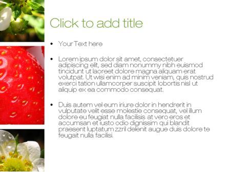 파워포인트 템플릿 - 딸기 콜라주, 슬라이드 3, 10812, 농업 — PoweredTemplate.com