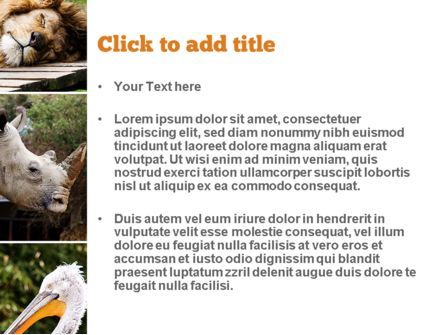 Wild Animals PowerPoint Template, Slide 3, 11024, Nature & Environment — PoweredTemplate.com