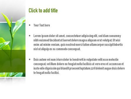 Green Presentation PowerPoint Template, Slide 3, 11044, Nature & Environment — PoweredTemplate.com