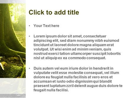 Dschungel PowerPoint Vorlage, Folie 3, 11063, Natur & Umwelt — PoweredTemplate.com
