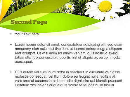 Plantilla de PowerPoint - camomila de margarita de ojo de buey, Diapositiva 2, 11157, Naturaleza y medio ambiente — PoweredTemplate.com