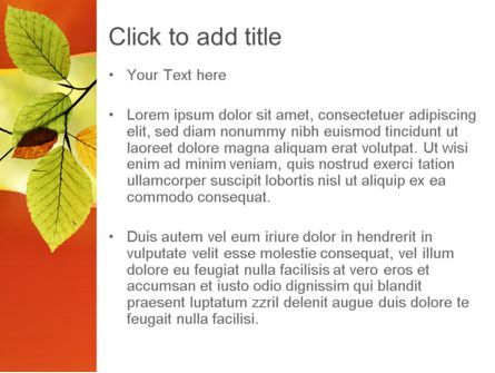 Plantilla de PowerPoint - rama con hojas amarillas, Diapositiva 3, 11208, Naturaleza y medio ambiente — PoweredTemplate.com