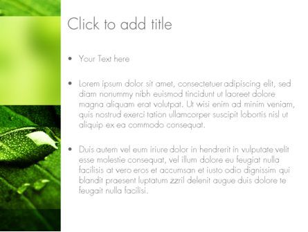 绿色组织PowerPoint模板, 幻灯片 3, 11248, 自然与环境 — PoweredTemplate.com
