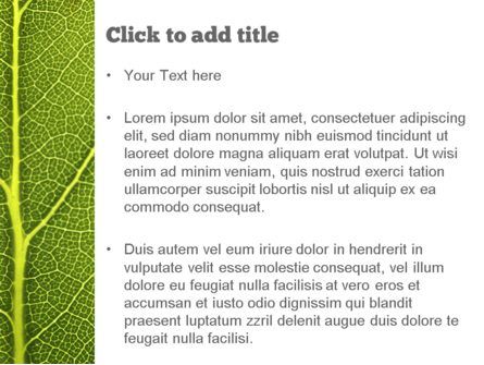 Green Leaf Structure PowerPoint Template, Slide 3, 11271, Nature & Environment — PoweredTemplate.com