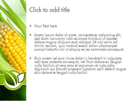 Modèle PowerPoint de maïs sur l'épi, Diapositive 3, 11296, Agriculture — PoweredTemplate.com
