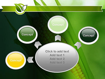 Corn On The Cob PowerPoint Template, Backgrounds | 11296 ...