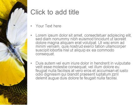 Butterfly on Sunflower PowerPoint Template, Slide 3, 11322, Nature & Environment — PoweredTemplate.com